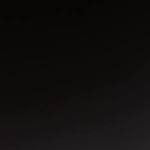 Meet your Posher, Nyla